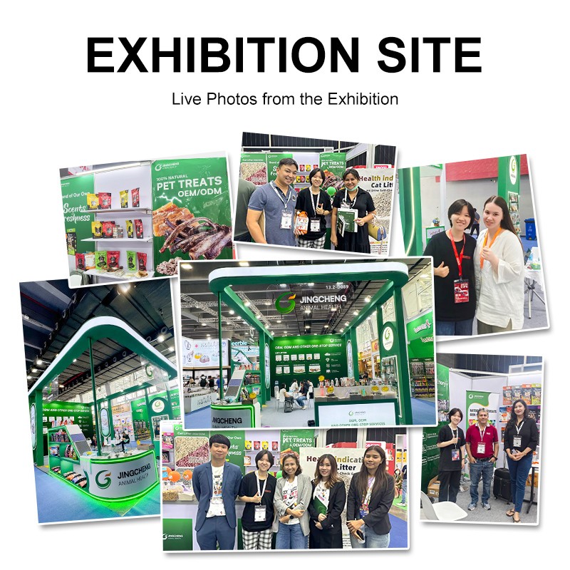 Freeze Dried Cat Snacks Supplier - High Quality Manufacturers