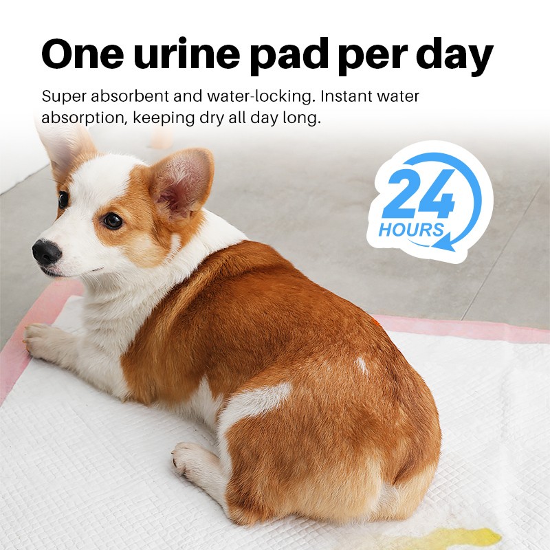 Disposable Dog Pee Pads Factory - Quick-Dry Leak-Proof Bulk