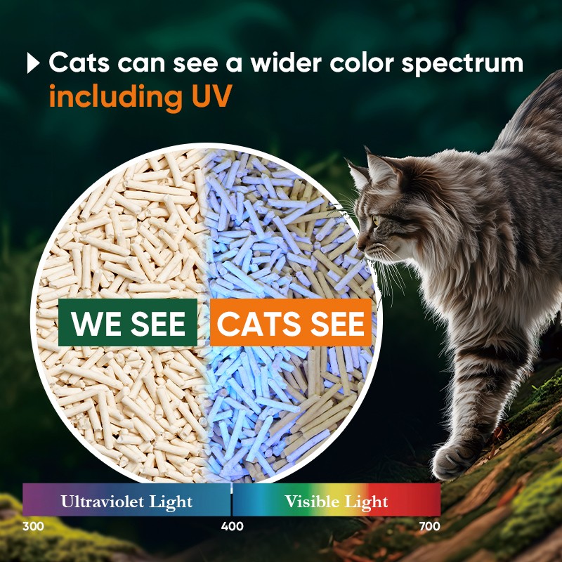 Dust-Free UV Cat Litter Manufacturer - New Arrival Low Tracking