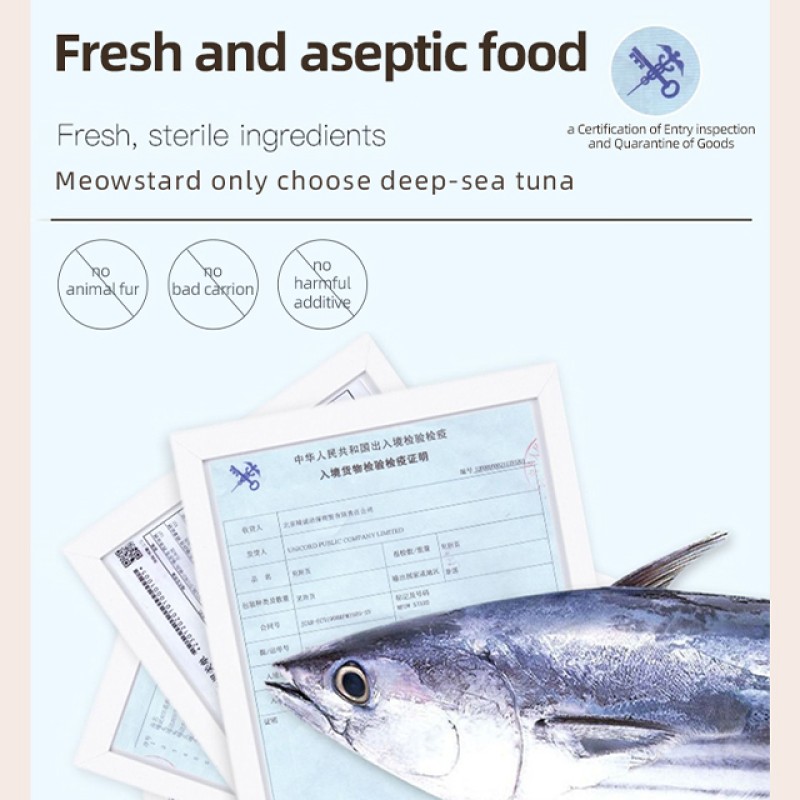 Premium Wet Cat Food Supplier - Fresh Chicken Salmon Tuna