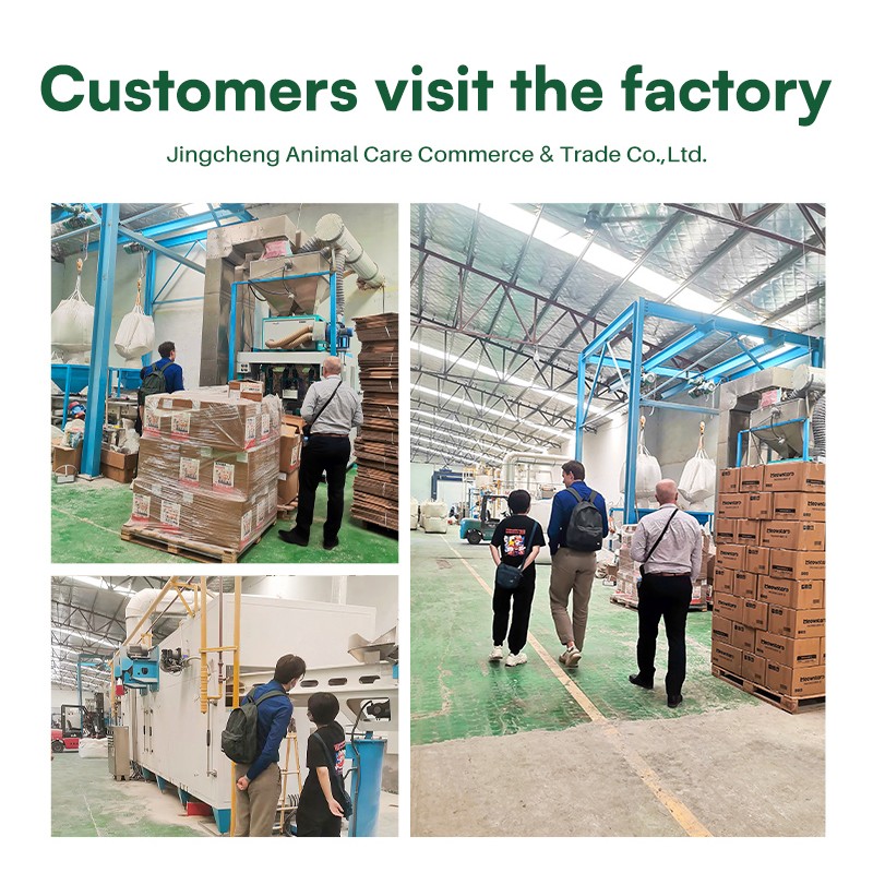 Coconut Cat Litter Factory - OEM 100% Natural Odor Control