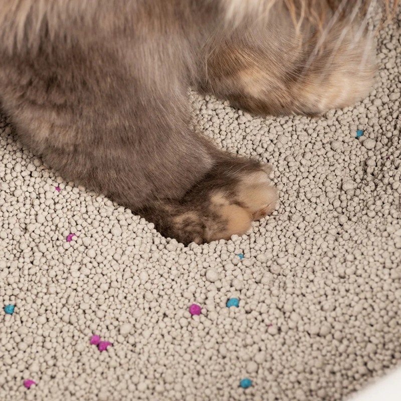 Flavour Bentonite Cat Litter Factory - Small Granules Tiger