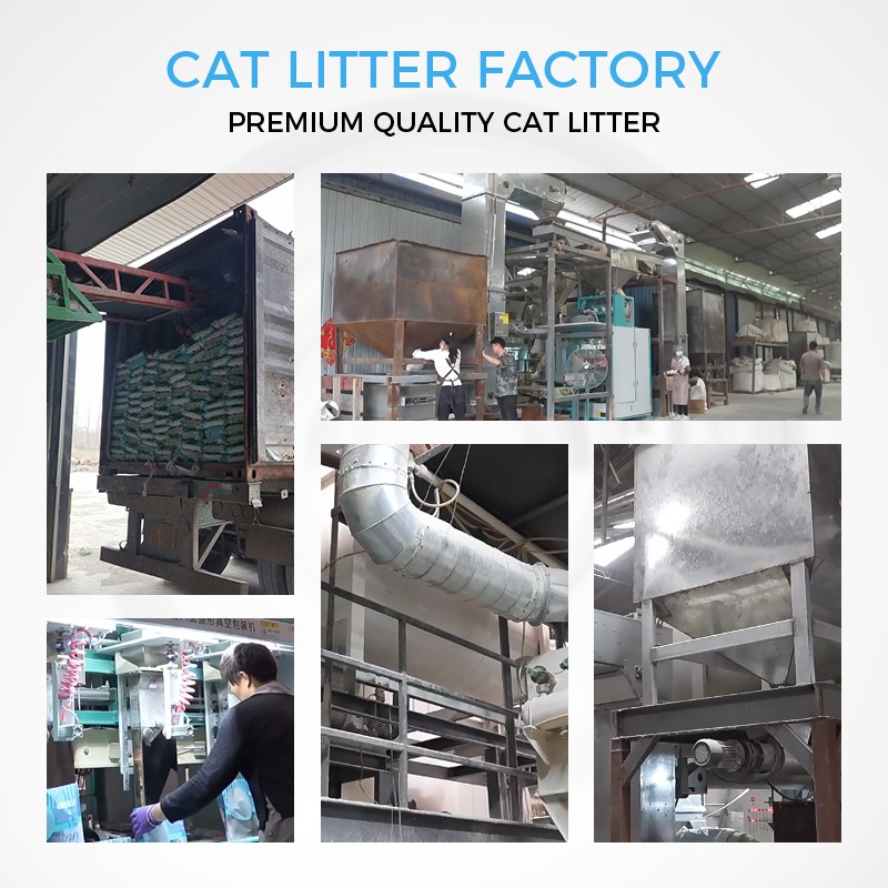Plant Tofu Cat Litter Factory - OEM ODM Bulk 6L Lavender Peach Scented Premium Natural