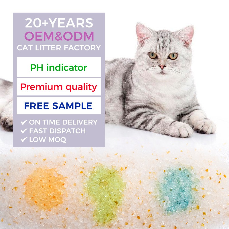 Health Monitoring Cat Litter Supplier - Highly Absorbent Health Care Monitoring Dust Free PH