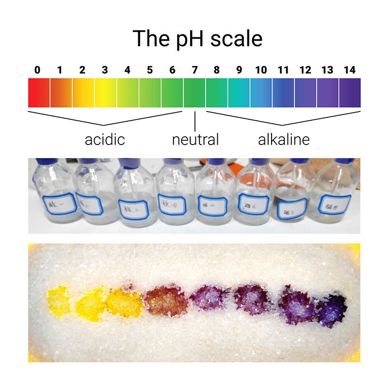 Silica Gel Cat Litter Factory - Custom Highly Absorbent Non Clumping Non Toxic Dust-Free 3% Blue