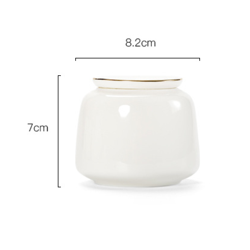 Pet Ashes Urn Manufacturer - Modern Luxury Ceramic Sealed Jar