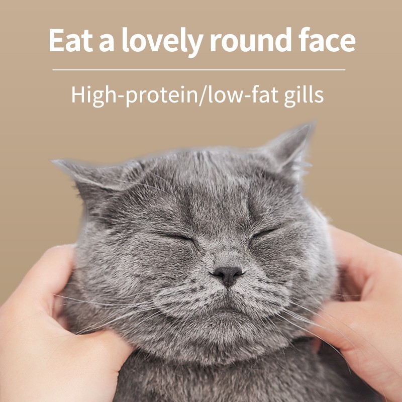 Pet Dry Food Factory - OEM/ODM/OBM Full Stage Customizable