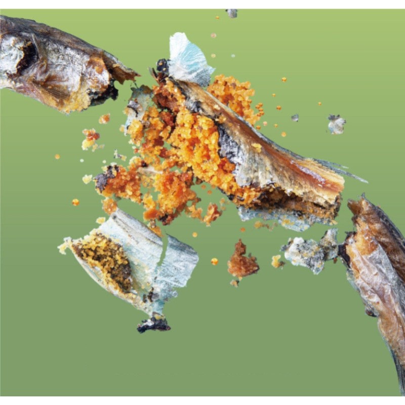 Joint Health Treats Supplier - Cat Dog Food Supplement