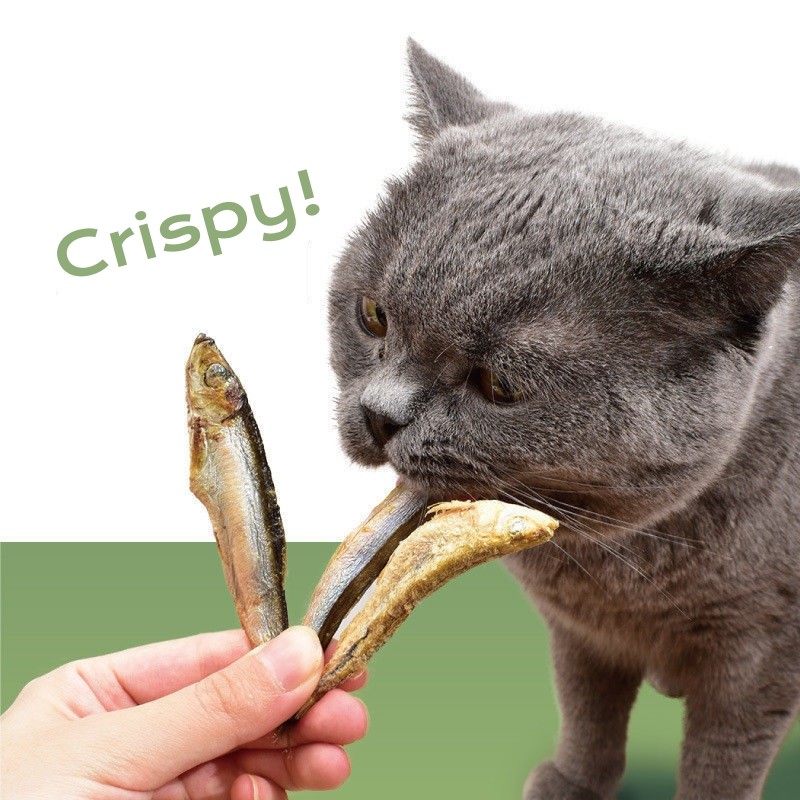 Joint Health Treats Supplier - Cat Dog Food Supplement