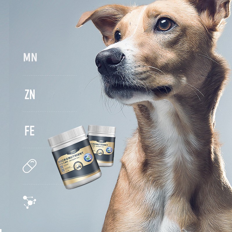 Pet Trace Element Powder Supplier - 300g Vitamins Minerals