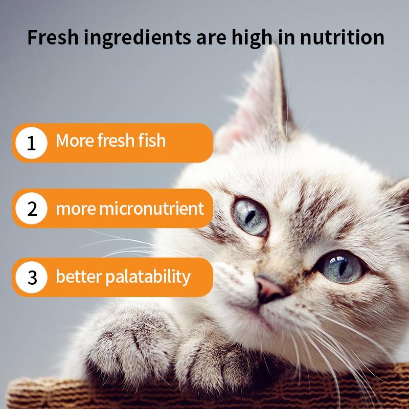 Cat Wet Grain Manufacturer - 15g Salmon Chicken Water Replenishing