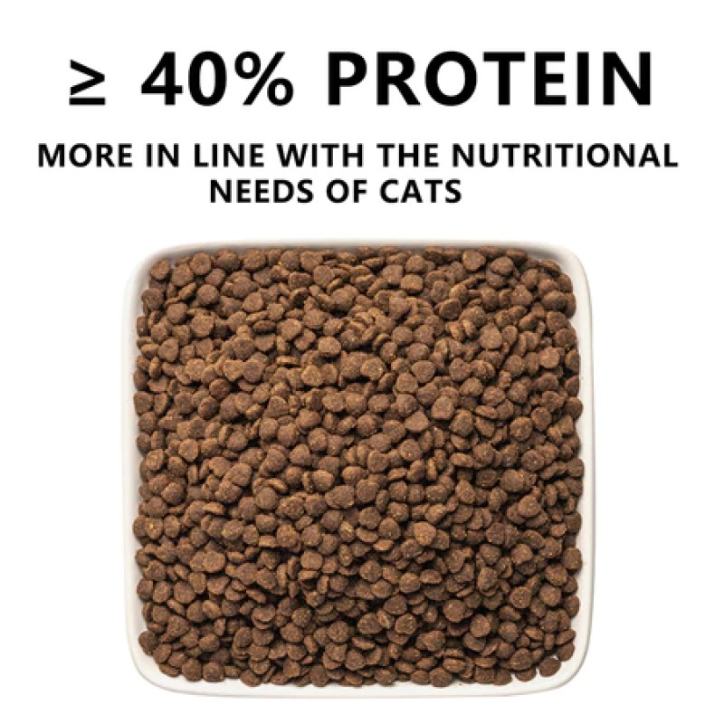 Pet Wet Food Manufacturer - Mr. Tom 100g Chicken Salmon