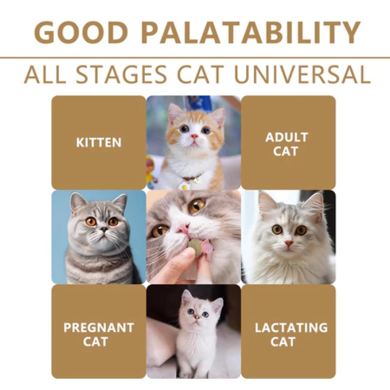 Pet Wet Food Manufacturer - Mr. Tom 100g Chicken Salmon