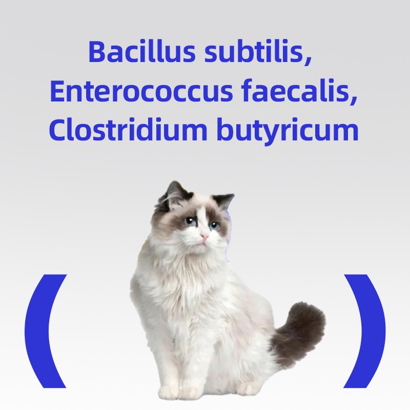 Pet Probiotics Supplement Supplier - Active Gastrointestinal Health