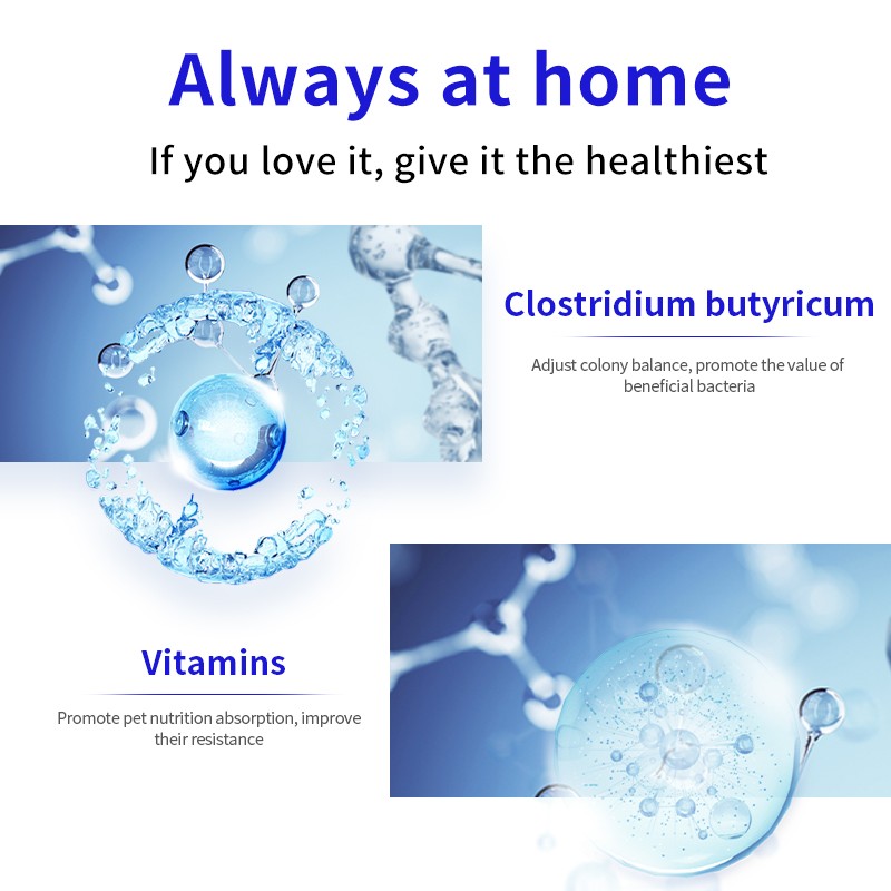 Pet Probiotics Supplement Supplier - Active Gastrointestinal Health