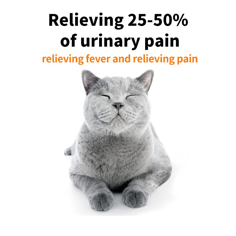 Canned Pet Food Factory - 375g Fresh Chicken Soup Nutrients