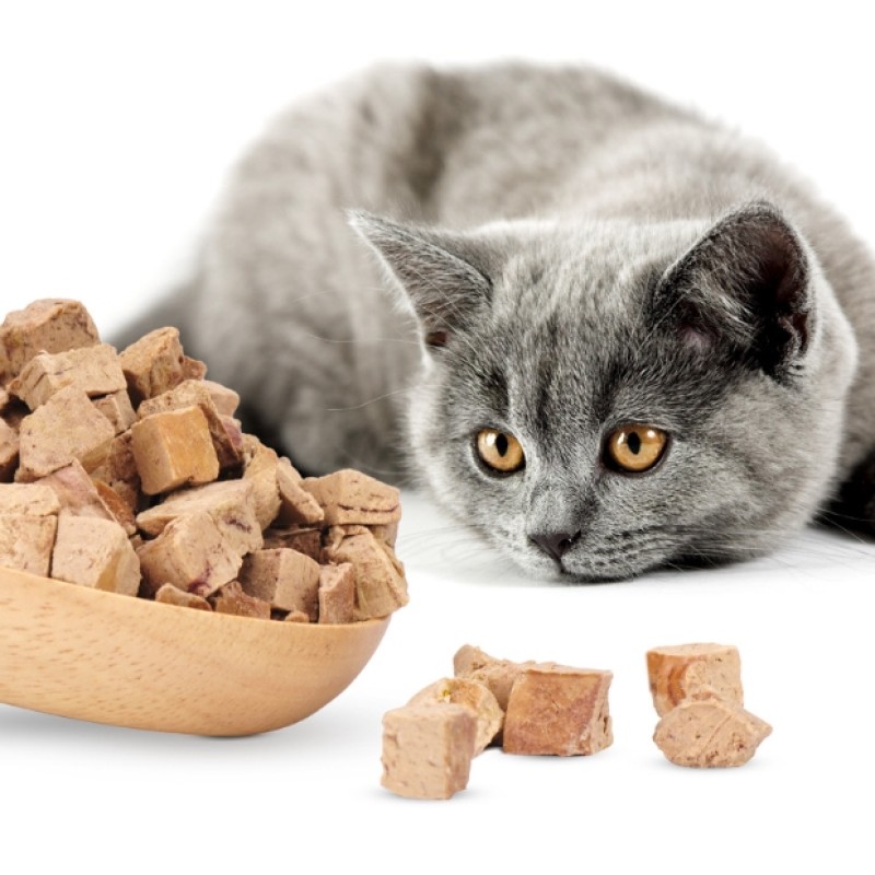 Pet Freeze-dried Food Manufacturer - Chicken Liver Granules OEM