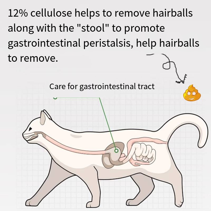 Small Breed Dog Treats Factory - Premium Food Products