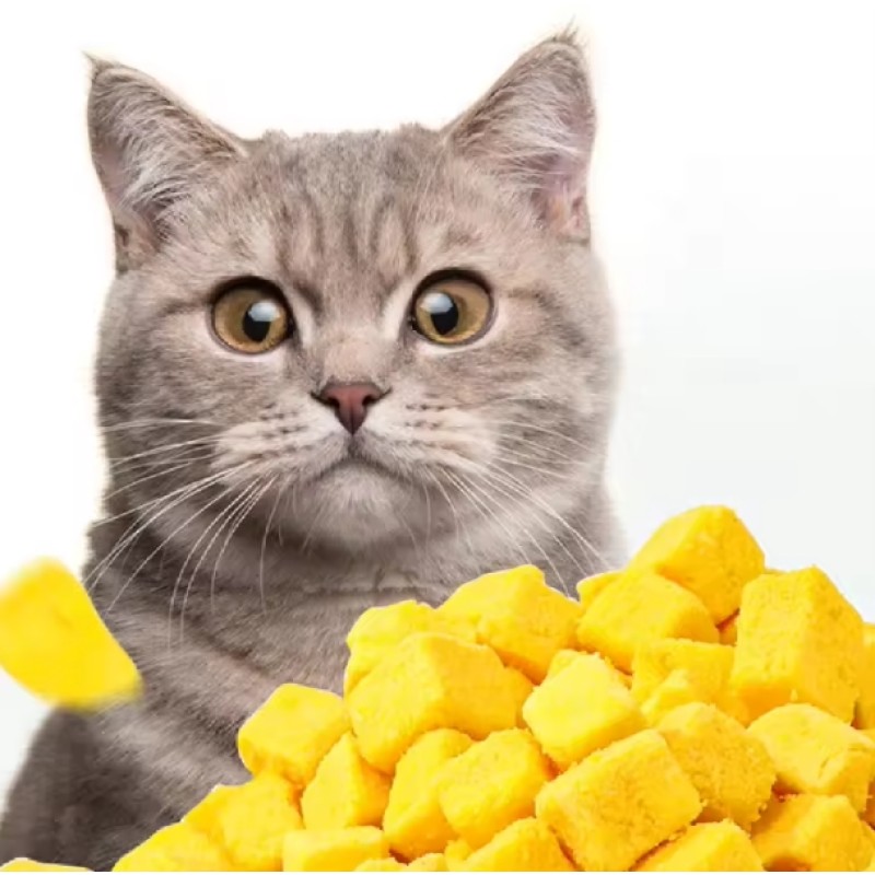 Pet Freeze-Dried Snack Factory - Chinese Quail Whole Piece