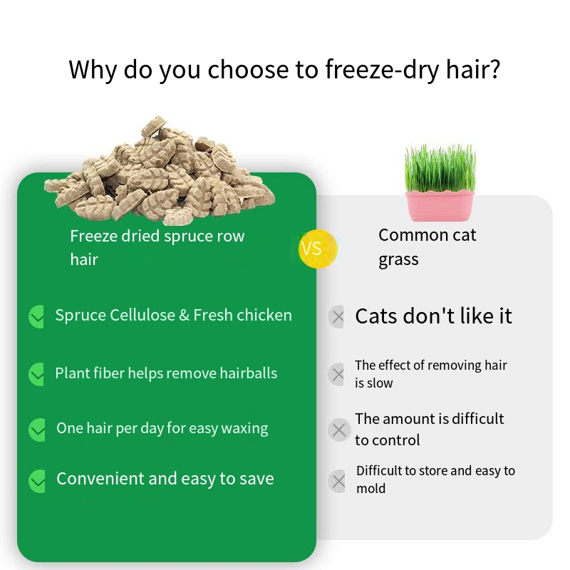 Small Breed Dog Treats Factory - Premium Food Products