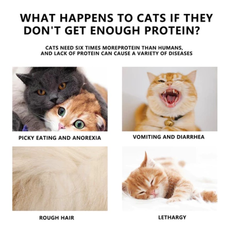 Pet Wet Food Manufacturer - Mr. Tom 100g Chicken Salmon