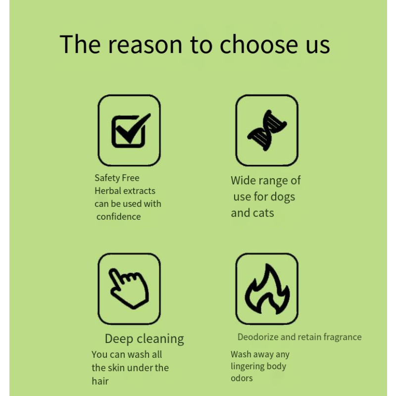 Pet Snacks Manufacturer - High-protein Various Flavor Freeze-dried