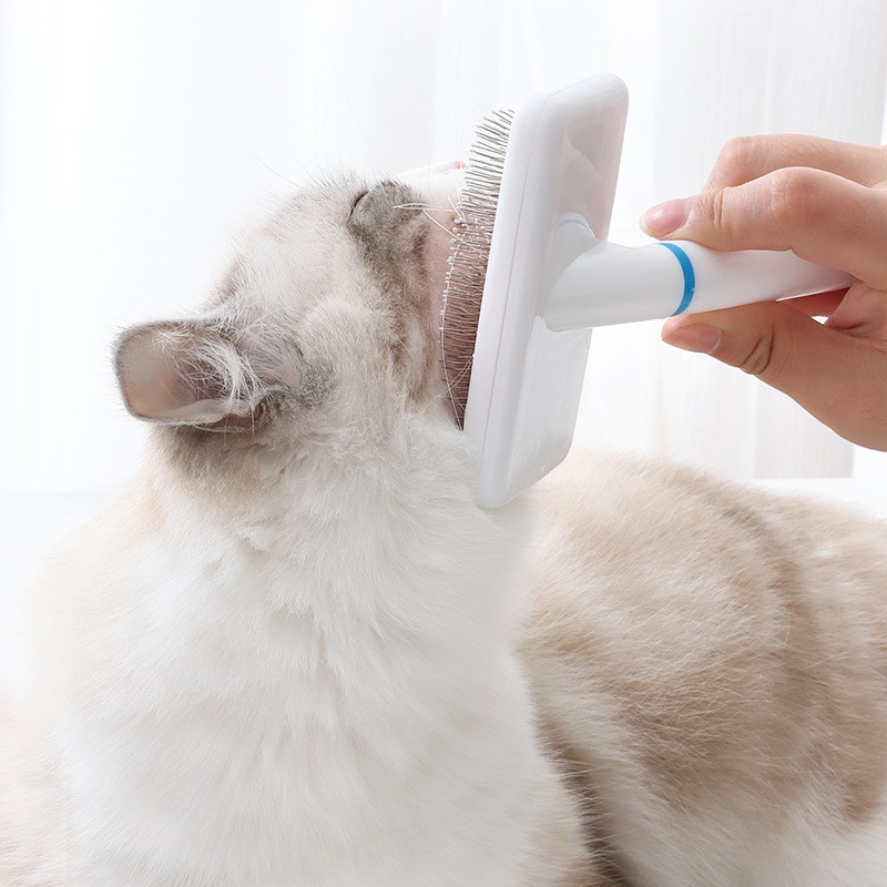 Pet Hair Removal Comb Factory - PVC Multifunctional Grooming