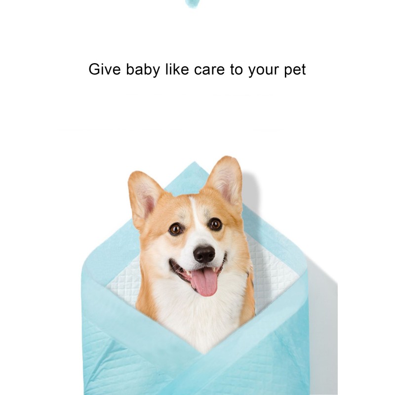 Pet Urine Pad Manufacturer - PE Material Thickened Leak Proof