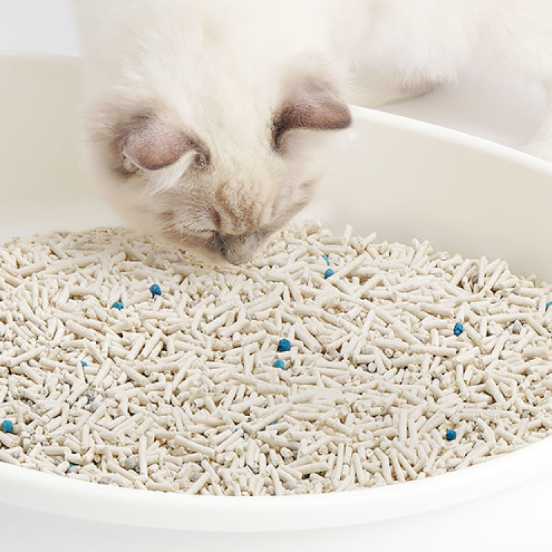 Pet Nutritional Powder Manufacturer - 300g Goat Milk Enhancement