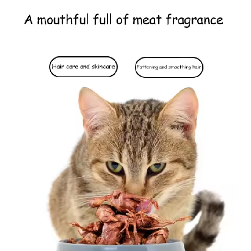 Freeze-Dried Duck Liver Supplier - Diced Teeth Grinding Training