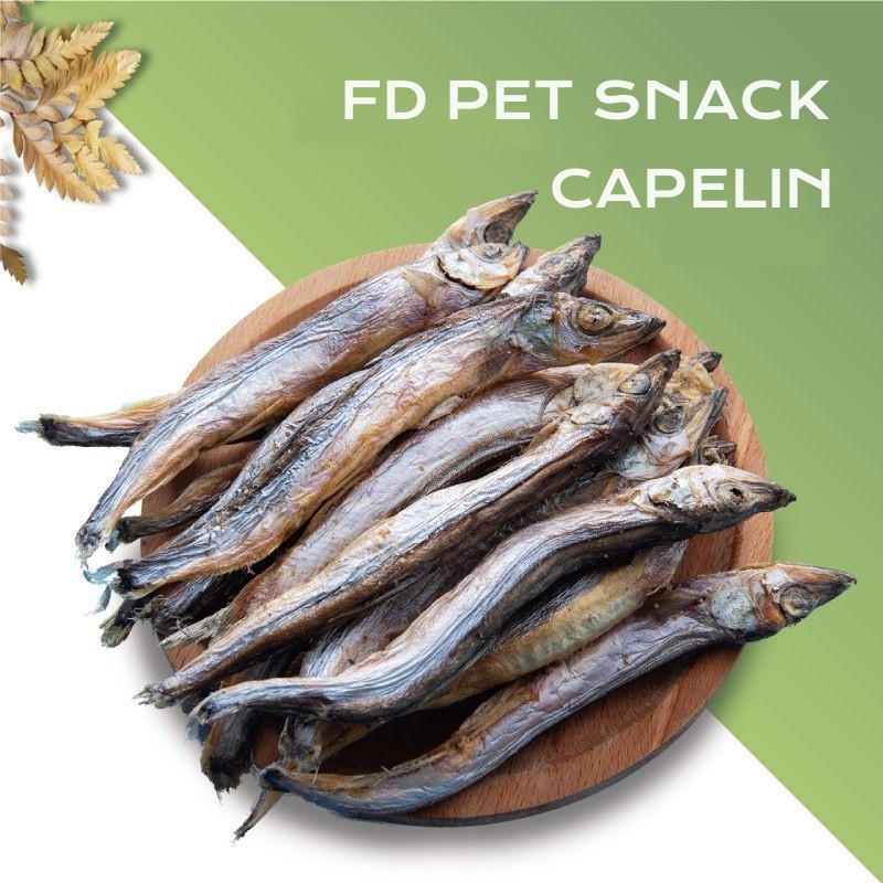 Joint Health Treats Supplier - Cat Dog Food Supplement