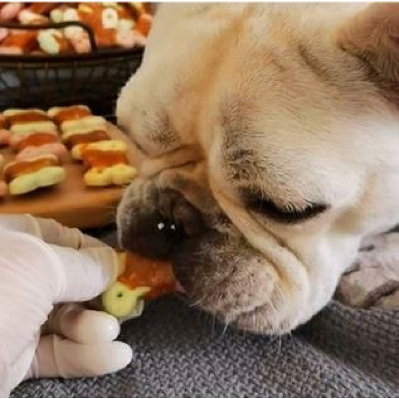 Dog Biscuits Manufacturer - Private Label Mix Chicken Beef Flavor Pet Food Snacks