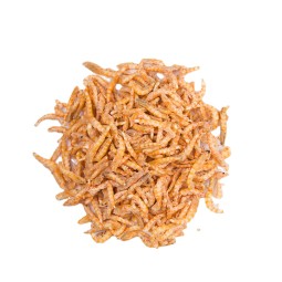 Freeze-dried Shrimp Supplier - Fish Shrimp Dry Golden Arowana Parrot Fish Turtle Food