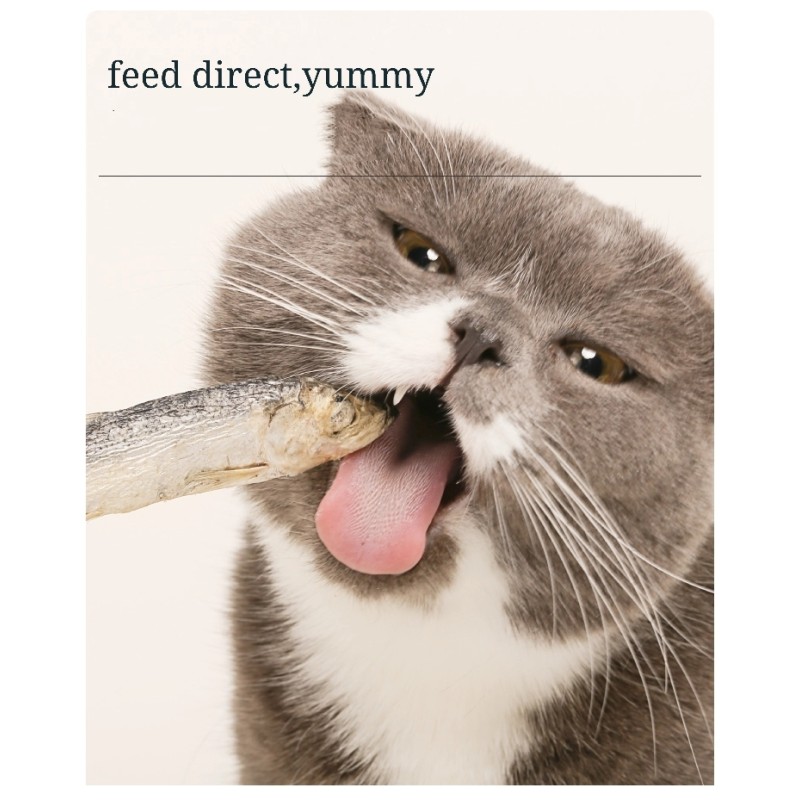 Freeze-dried Herring Factory - Hot Sale Yummy 500g Small Fish Cat Snacks Dog Food