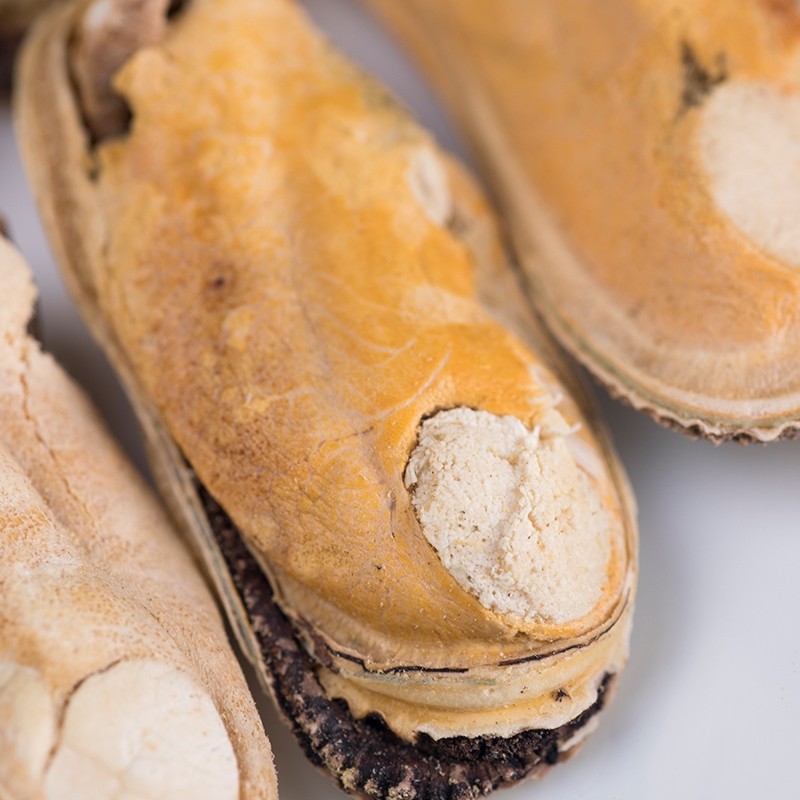 Freeze-Dried Pet Food Factory - Private Label New Zealand Green Lipped Mussel Natural