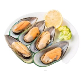 Freeze-Dried Pet Food Factory - Private Label New Zealand Green Lipped Mussel Natural