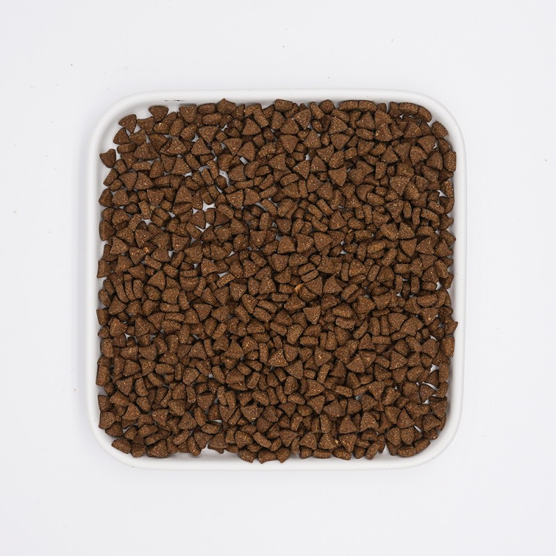 Cat Food Supplier - Hot Sale Dried Fresh Meat Addition High Protein Adult Cats