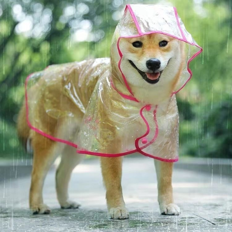 Pet Raincoat Manufacturer - Wholesale Transparent Large Medium Dogs Samoyed Teddy Bichon XL