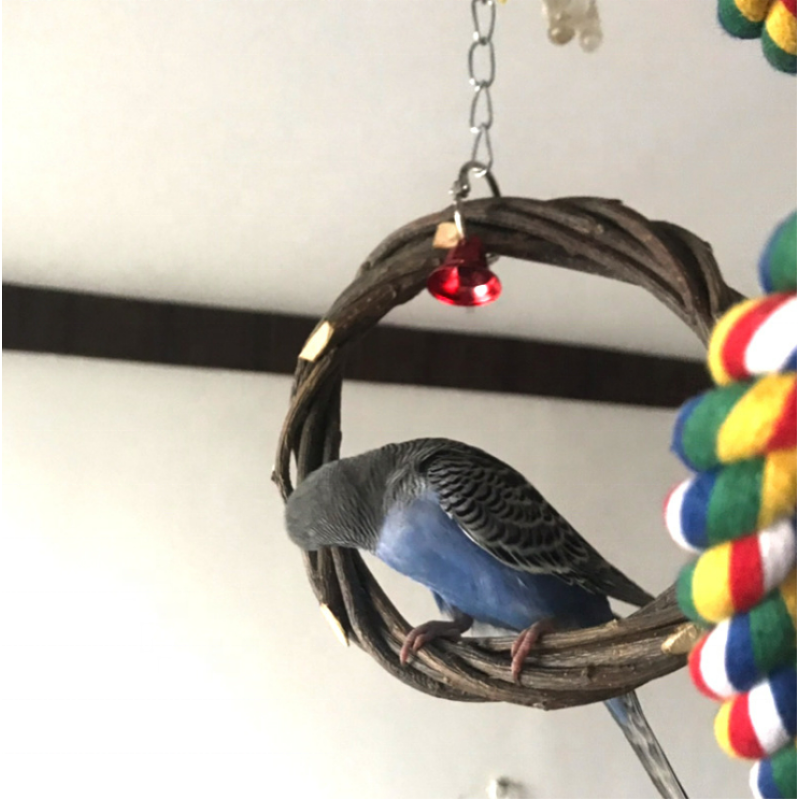 Parrot Toy Supplier - Wholesale Large Bird Chewing Natural Wooden Blocks Tearing Play Toys