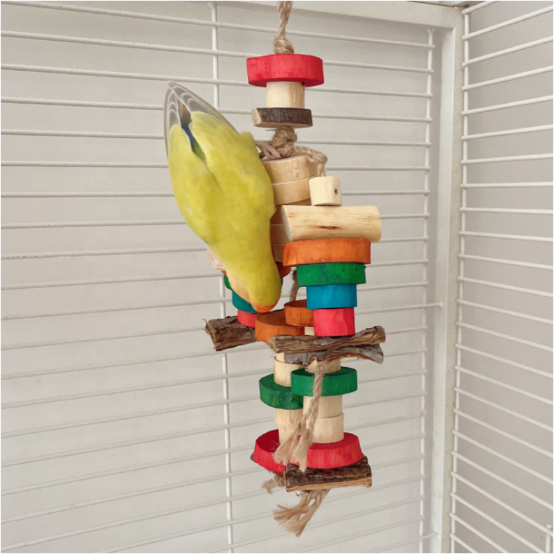 Parrot Swing Supplier - Chewing Toys Hanging Bell Cage Toys for Small Parakeets Cockatiels