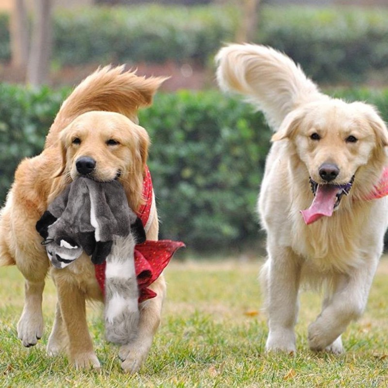 Plush Dog Toy Manufacturer - Wholesale Animal Toy Set Value Pack 5 Squirrel Squeaky Toys