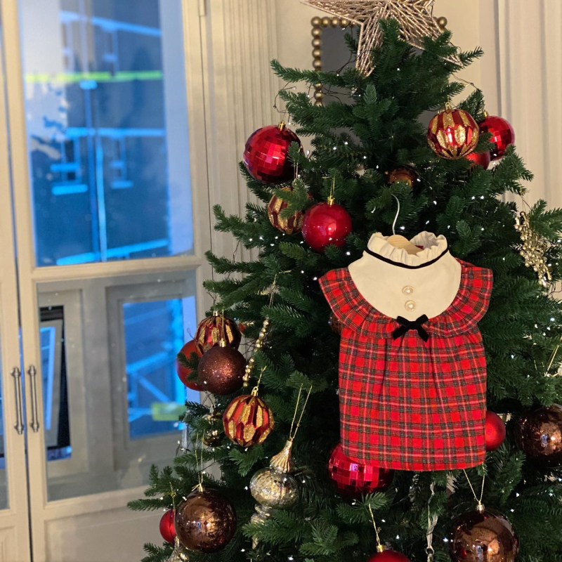 Pet Skirt Supplier - New Year Christmas British Royal Style Red Plaid Princess Kate