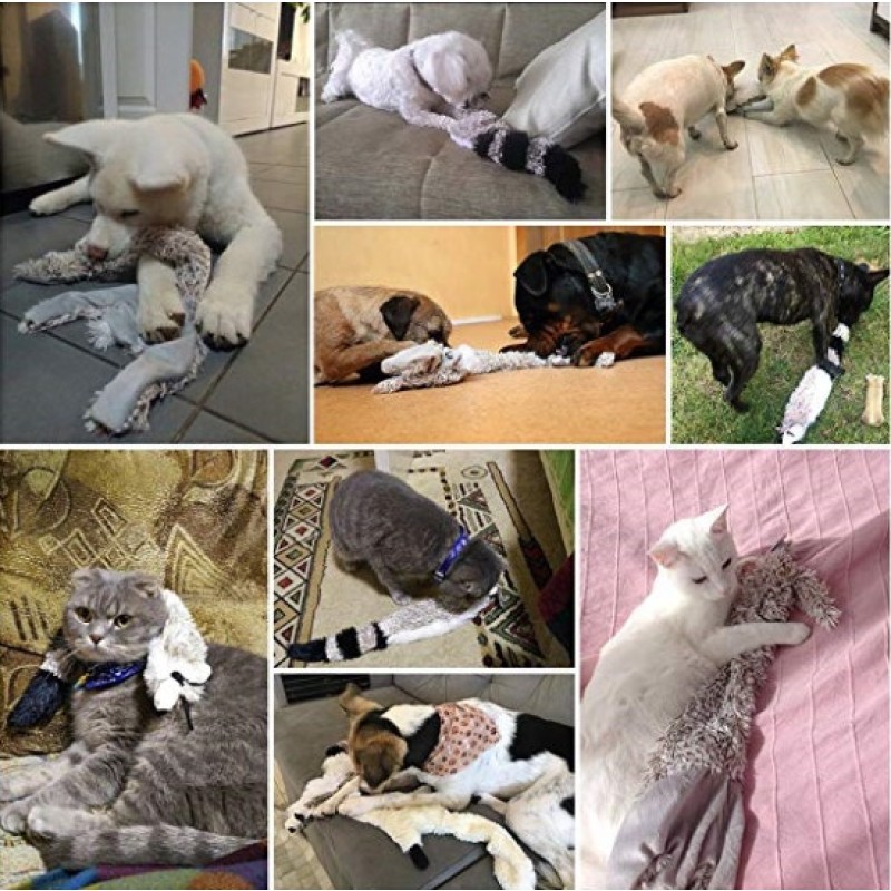 Dog Chew Toys Factory - Wholesale Chinese Factory Price Small Medium Dog Toy