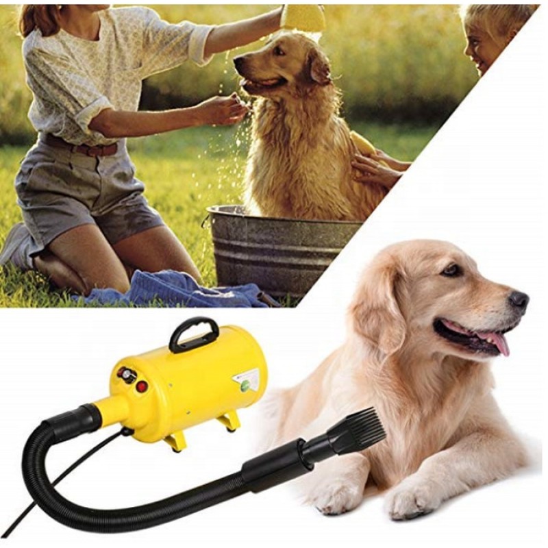 Dog Dryer Supplier - 3.8HP 2800W Professional Grooming Blower Speed Adjustable with Heater