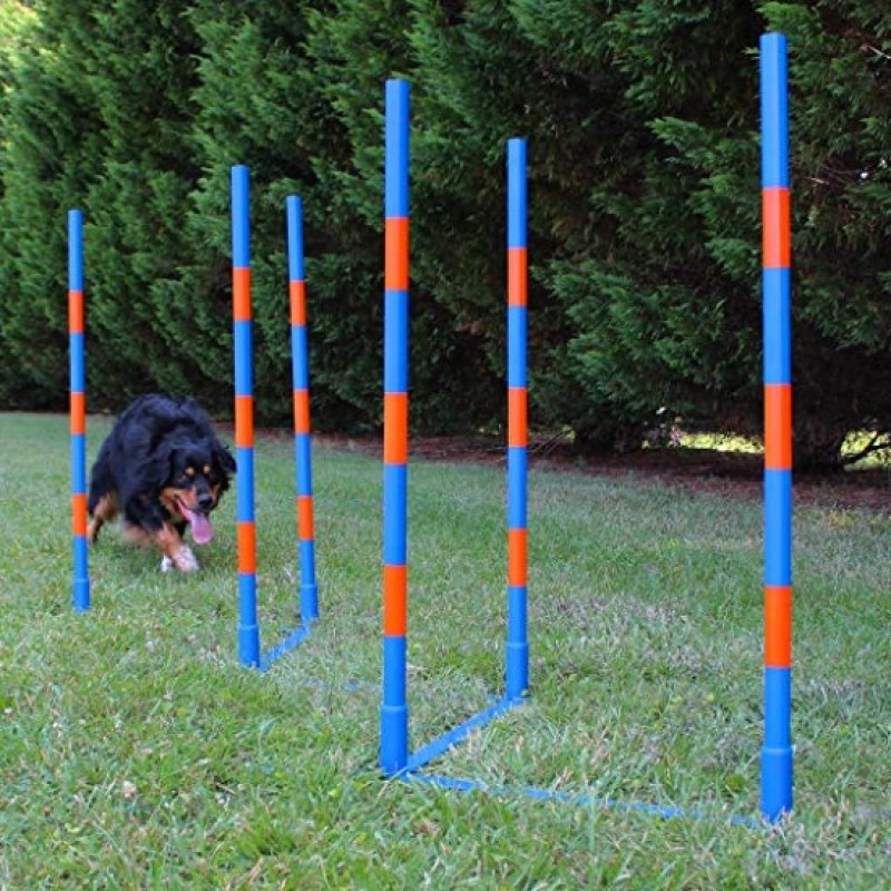 Dog Agility Equipment Supplier - Factory Price Agility Weave Poles Competition Grade Adjustable