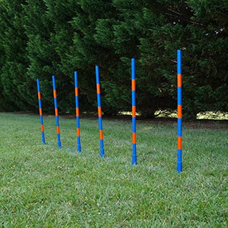 Dog Agility Equipment Supplier - Factory Price Agility Weave Poles Competition Grade Adjustable