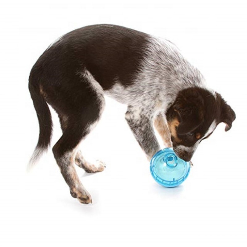 Interactive Dog Toy Supplier - Chinese Cheap Wholesale IQ Treat Ball Interactive Toy