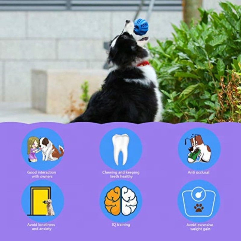 Dog IQ Toy Factory - Fun Interactive Food Dispensing IQ Treat Ball Non Toxic Natural