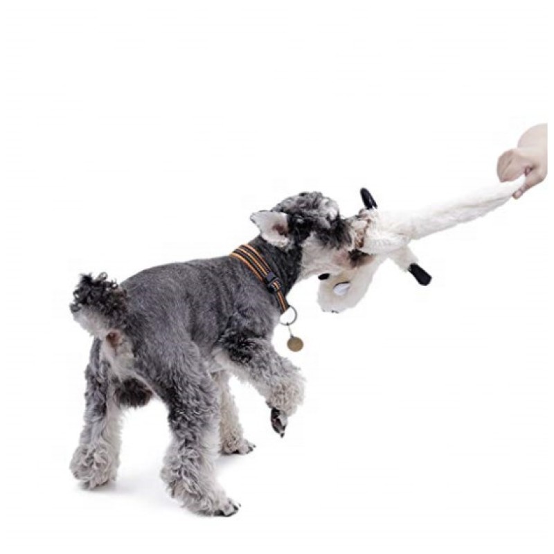 Dog Chew Toys Factory - Wholesale Chinese Factory Price Small Medium Dog Toy