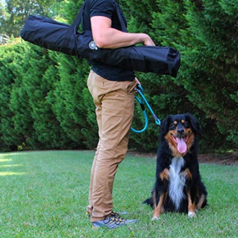 Dog Agility Equipment Supplier - Factory Price Agility Weave Poles Competition Grade Adjustable